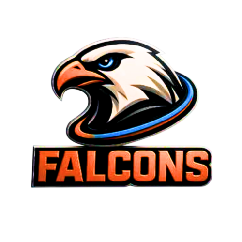 Fourways Falcons